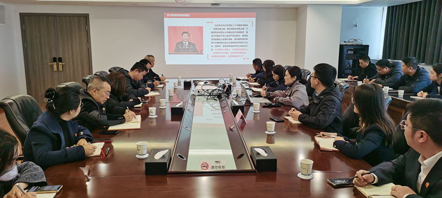 集團黨委委員、副總經(jīng)理賀維維同志講授專題黨課