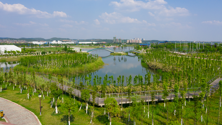 20240521-61 20240521-61